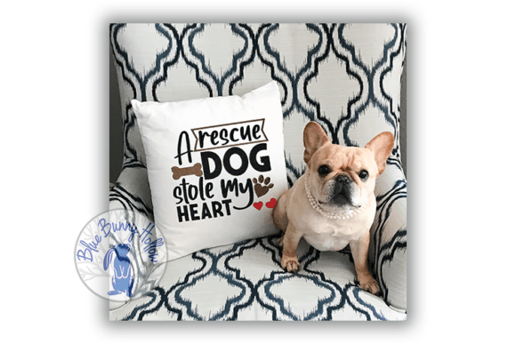 A Rescue Dog Stole My Heart: An Embroidery Review