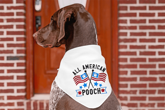 All American Pooch: A Designer’s Review