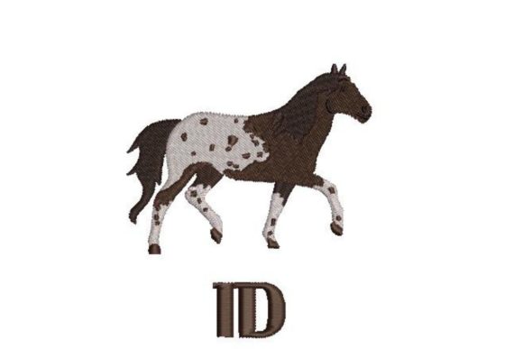 Appaloosa: A Designer’s Review for Boutique Apparel
