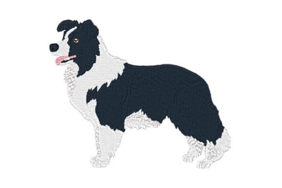 Border Collie-0410: A Designer’s Holiday Review